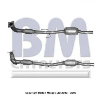 Catalyseur BM CATALYSTS BM90895H