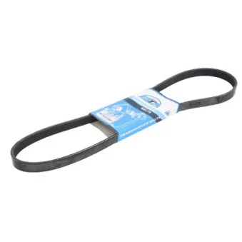 Courroie trapézoïdale à nervures BTA B08-5PK1025