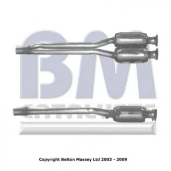 Catalyseur BM CATALYSTS BM90950H