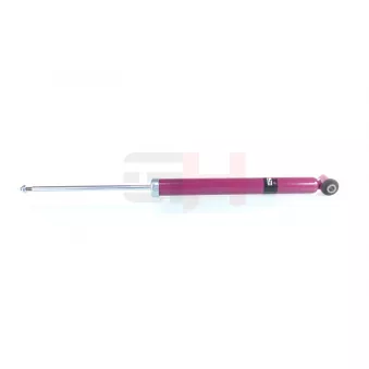 Jeu de 2 amortisseurs arrière GH