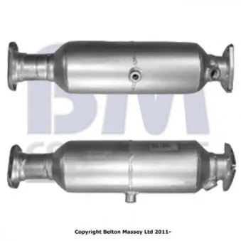 Catalyseur BM CATALYSTS BM91011H