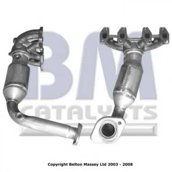 Catalyseur BM CATALYSTS BM91016H