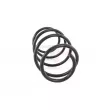 Ressort de suspension GH GH-201504 - Visuel 2