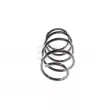 Ressort de suspension GH GH-201548 - Visuel 2