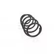 Ressort de suspension GH GH-203613 - Visuel 2
