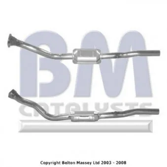 Catalyseur BM CATALYSTS BM91030H