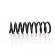 Ressort de suspension GH GH-223306 - Visuel 1