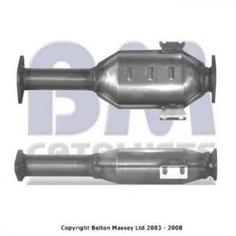 Catalyseur BM CATALYSTS BM91042H