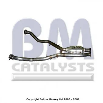 Catalyseur BM CATALYSTS