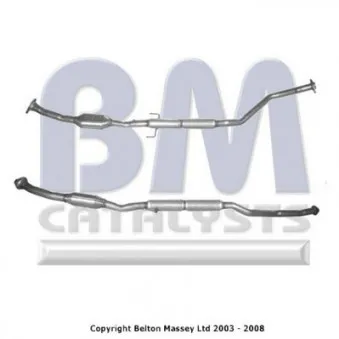 Catalyseur BM CATALYSTS BM91071H