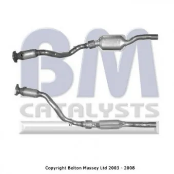 Catalyseur BM CATALYSTS BM91073H