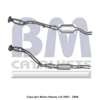 Catalyseur BM CATALYSTS BM91074H