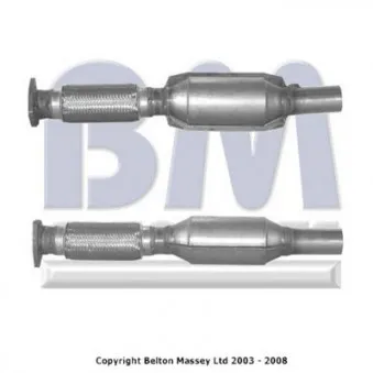 Catalyseur BM CATALYSTS BM91080H