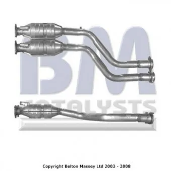 Catalyseur BM CATALYSTS BM91101H
