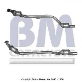 Catalyseur BM CATALYSTS BM91121H