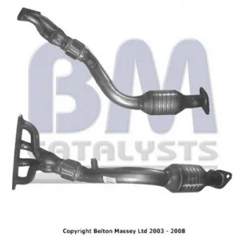 Catalyseur BM CATALYSTS BM91146H