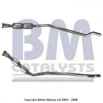 Catalyseur BM CATALYSTS BM91166H