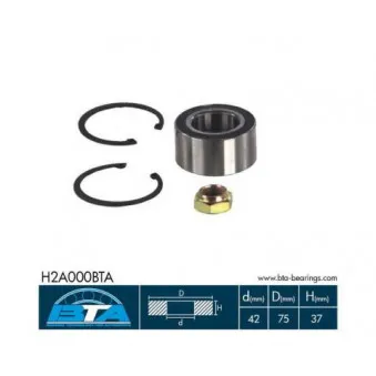 Roulement de roue arrière BTA H2A000BTA