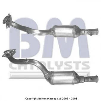 Catalyseur BM CATALYSTS BM91170H