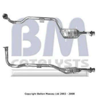Catalyseur BM CATALYSTS BM91174H