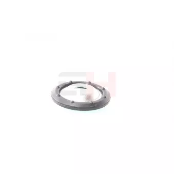 Patin de ressort GH GH-361910