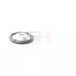 Patin de ressort GH GH-361910 - Visuel 3