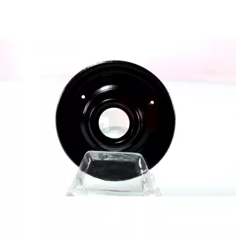 Patin de ressort GH GH-364367