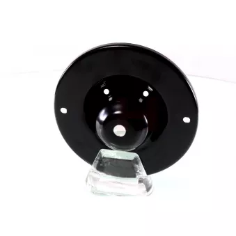 Patin de ressort GH GH-364406