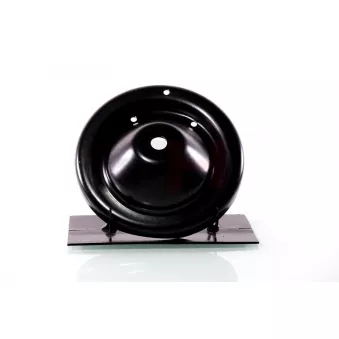 Patin de ressort GH GH-364446