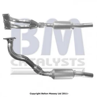 Catalyseur BM CATALYSTS BM91198H