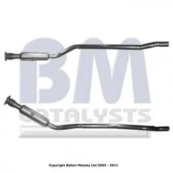 Catalyseur BM CATALYSTS BM91199H
