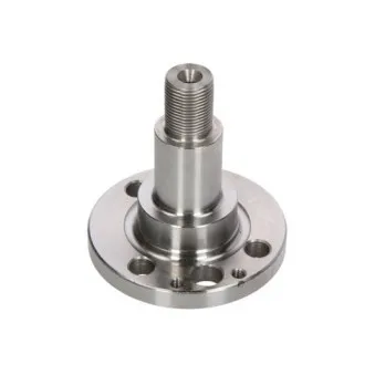 Fusée d'essieu, suspension de roue BTA H5S003BTA