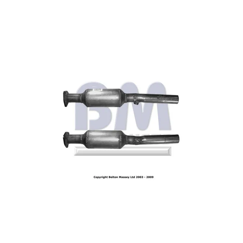 Catalyseur BM CATALYSTS BM91248H
