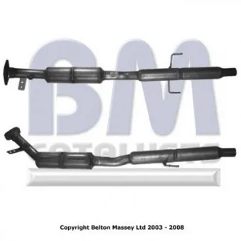 Catalyseur BM CATALYSTS BM91251H