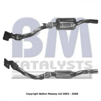 Catalyseur BM CATALYSTS BM91252H