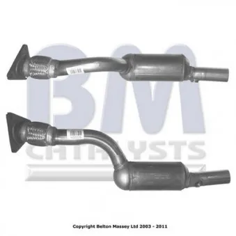 Catalyseur BM CATALYSTS BM91255H