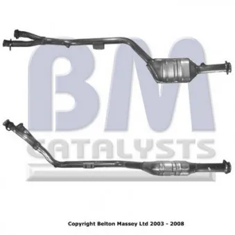 Catalyseur BM CATALYSTS BM91289H
