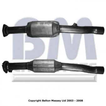 Catalyseur BM CATALYSTS BM91301H