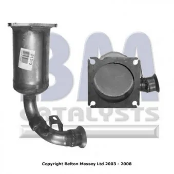 Catalyseur BM CATALYSTS BM91313H