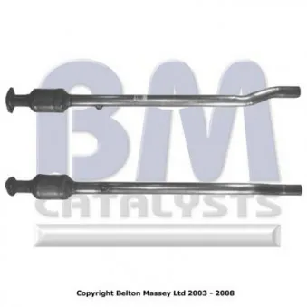 Catalyseur BM CATALYSTS BM91363H