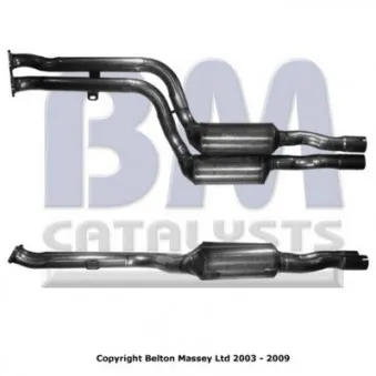 Catalyseur BM CATALYSTS BM91427H