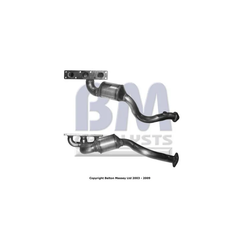 Catalyseur BM CATALYSTS BM91455H
