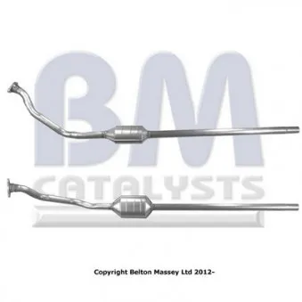 Catalyseur BM CATALYSTS BM91489H