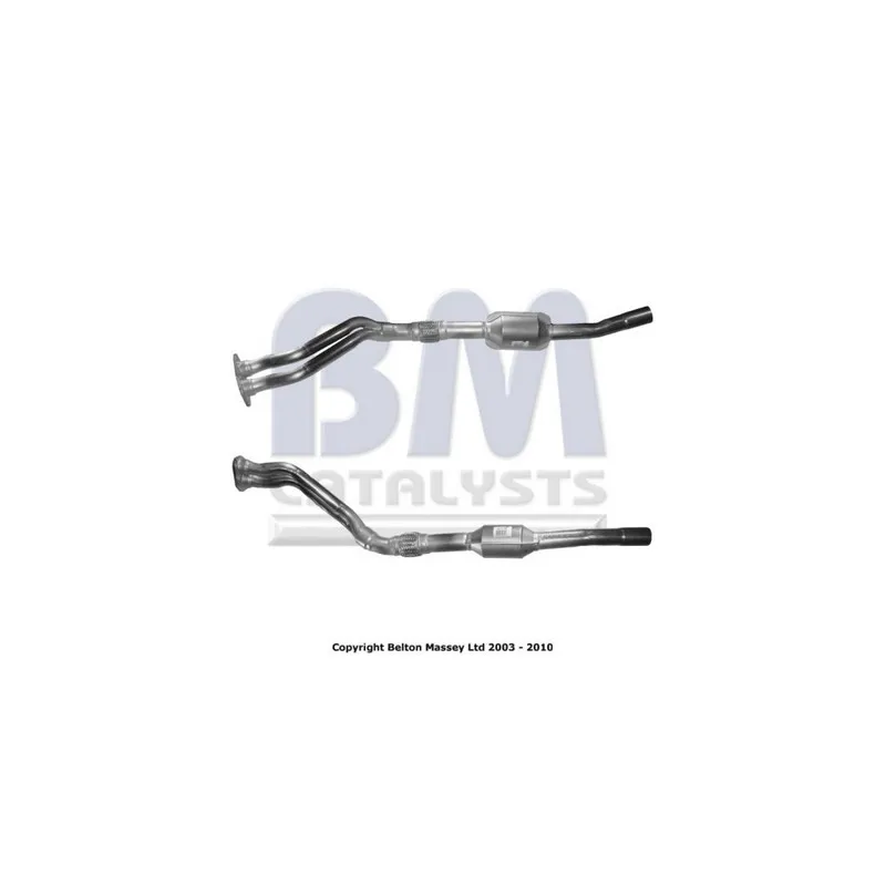 Catalyseur BM CATALYSTS BM91496