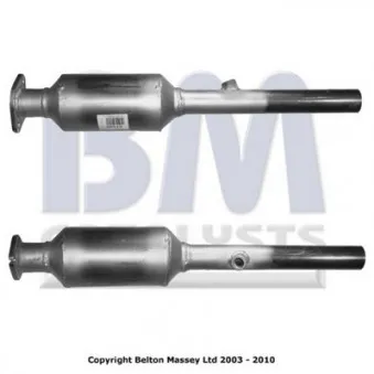 Catalyseur BM CATALYSTS BM91506H