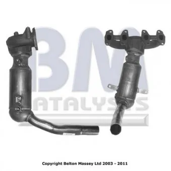 Catalyseur BM CATALYSTS BM91536H