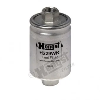 Filtre à carburant HENGST FILTER H229WK