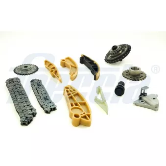 Kit de distribution par chaîne FRECCIA TK08-1167