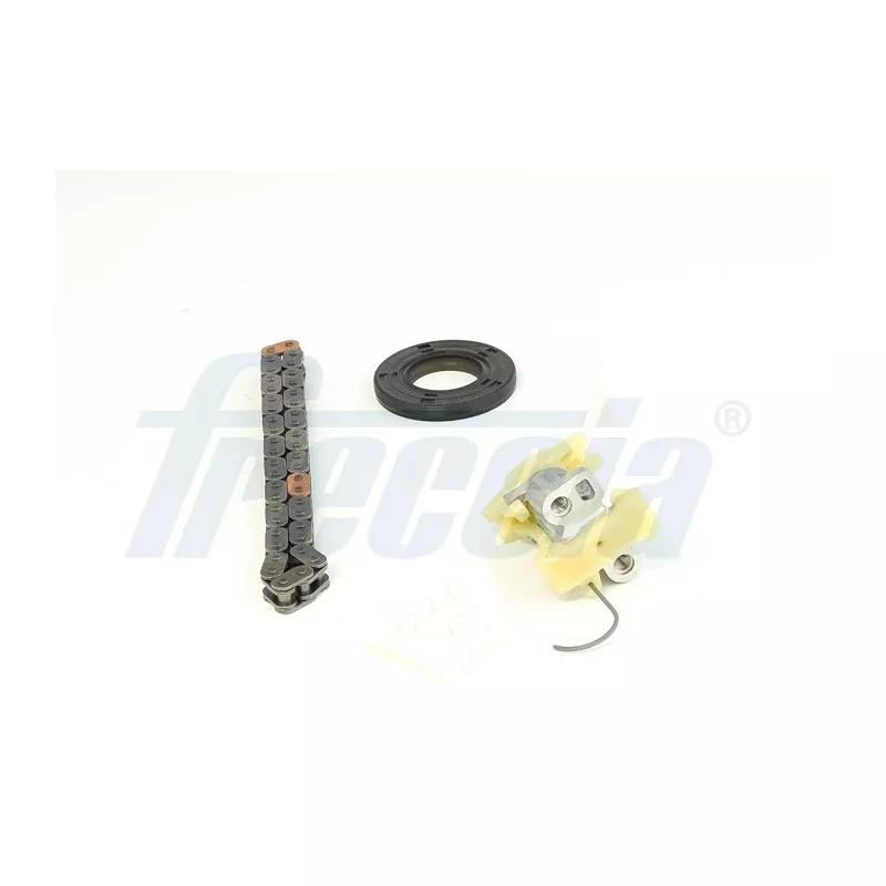 Kit de distribution par chaîne FRECCIA TK08-1171