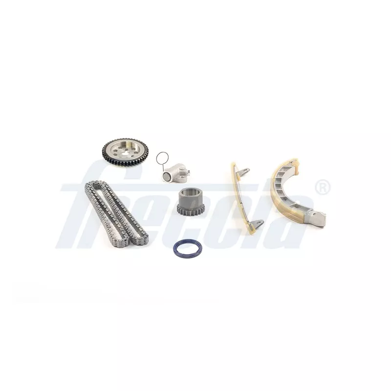 Kit de distribution par chaîne FRECCIA TK08-1175